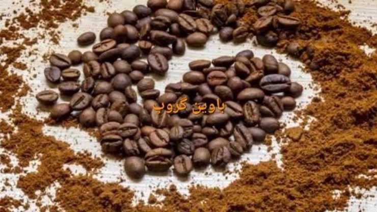 باوین گروپ