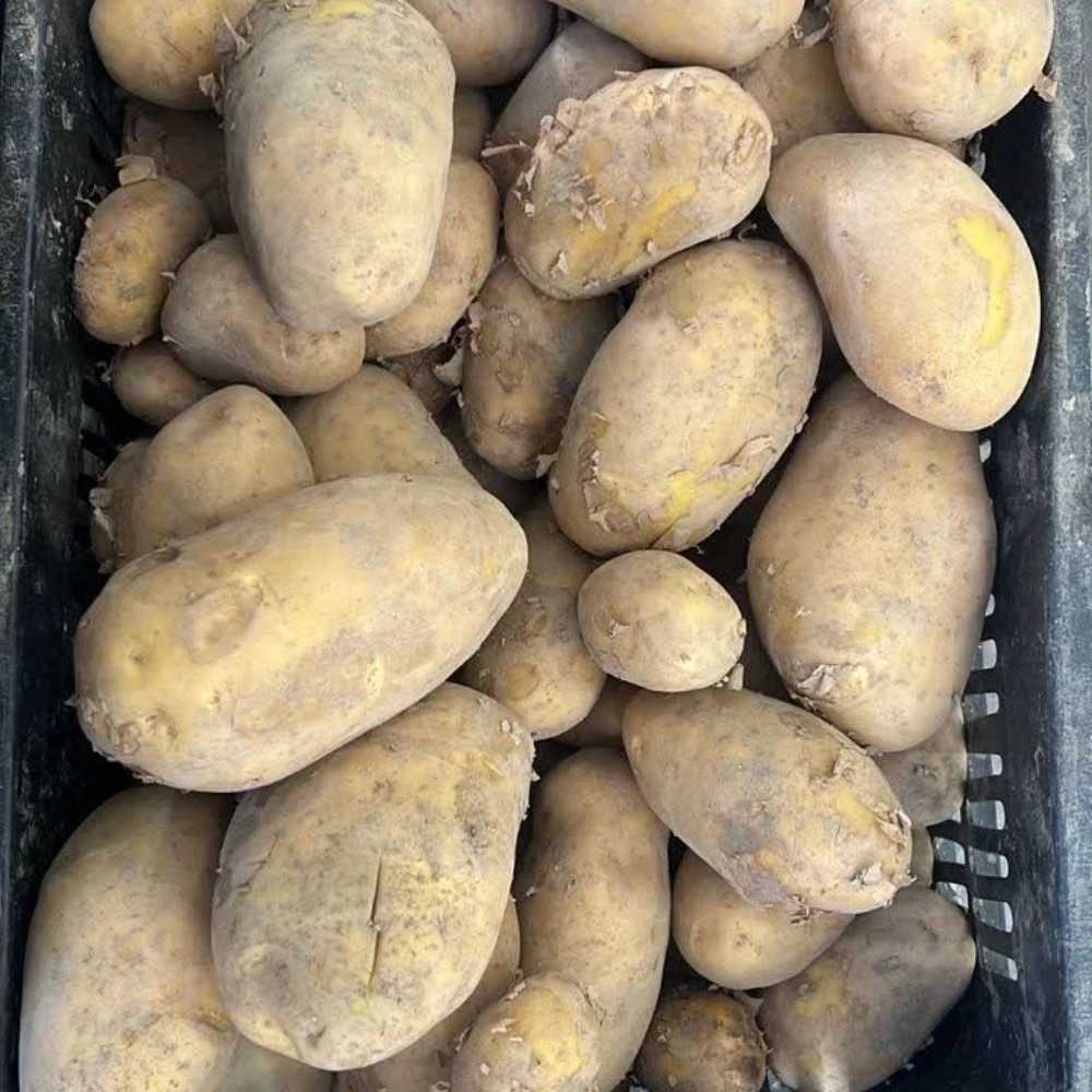 خلال سیب‌ زمینی نیمه‌آماده