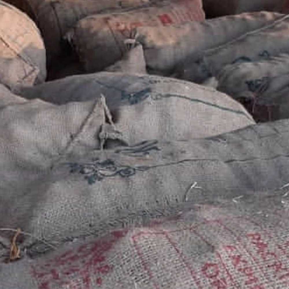 سیر بسته‌بندی شده صادراتی