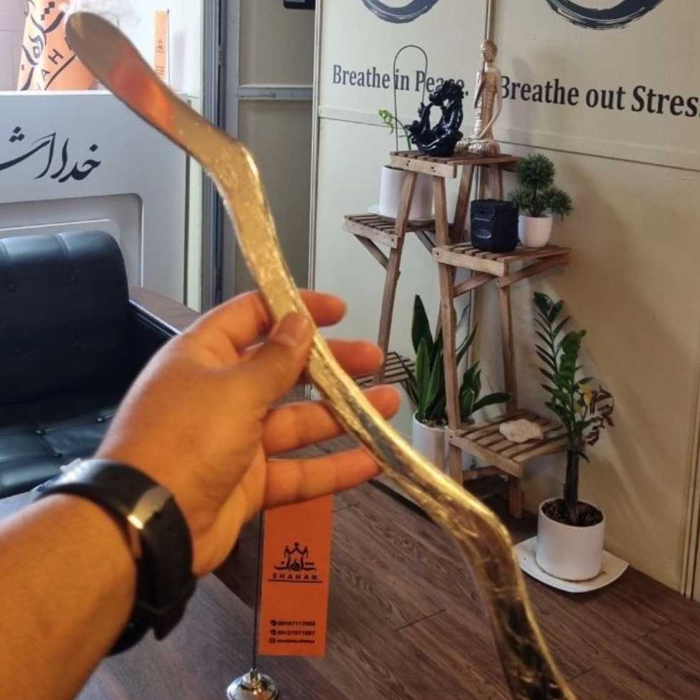 آکادمی شاهان