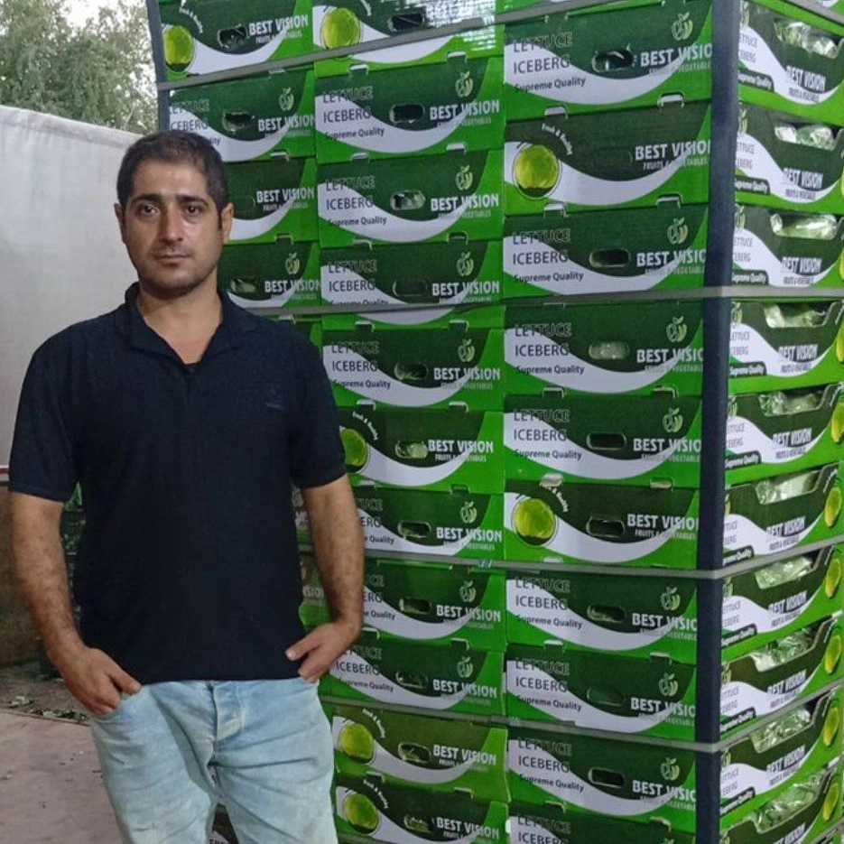 بهترین بازرگانی صیفی جات