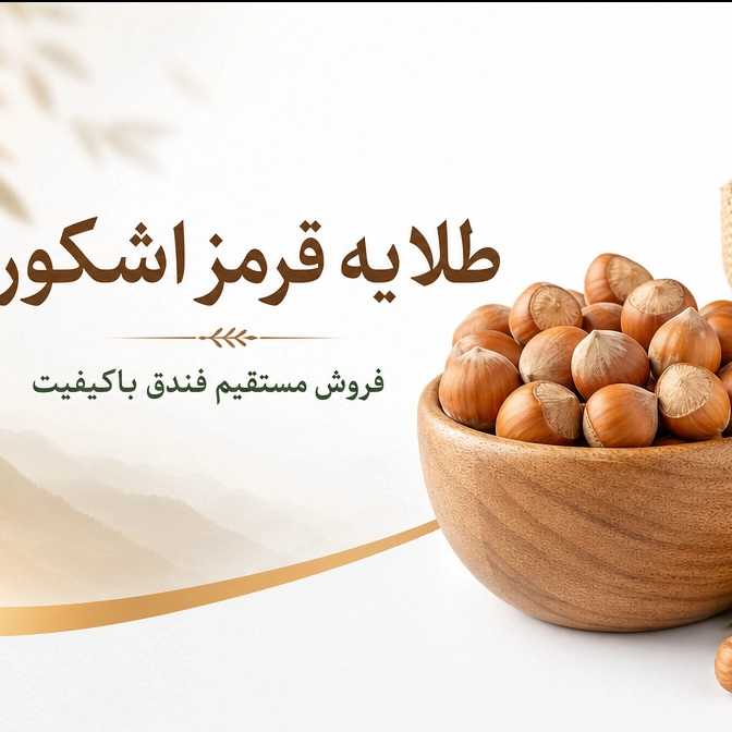 1784919816654.webp