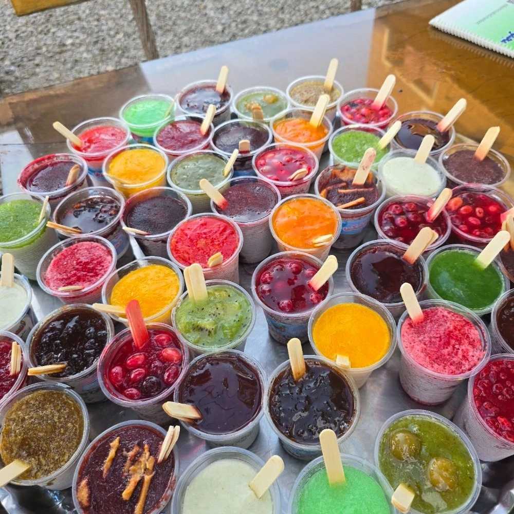 اسکمو طبیعی رشت