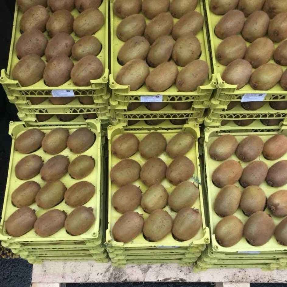 بسته‌بندی برای صادرات کیوی
