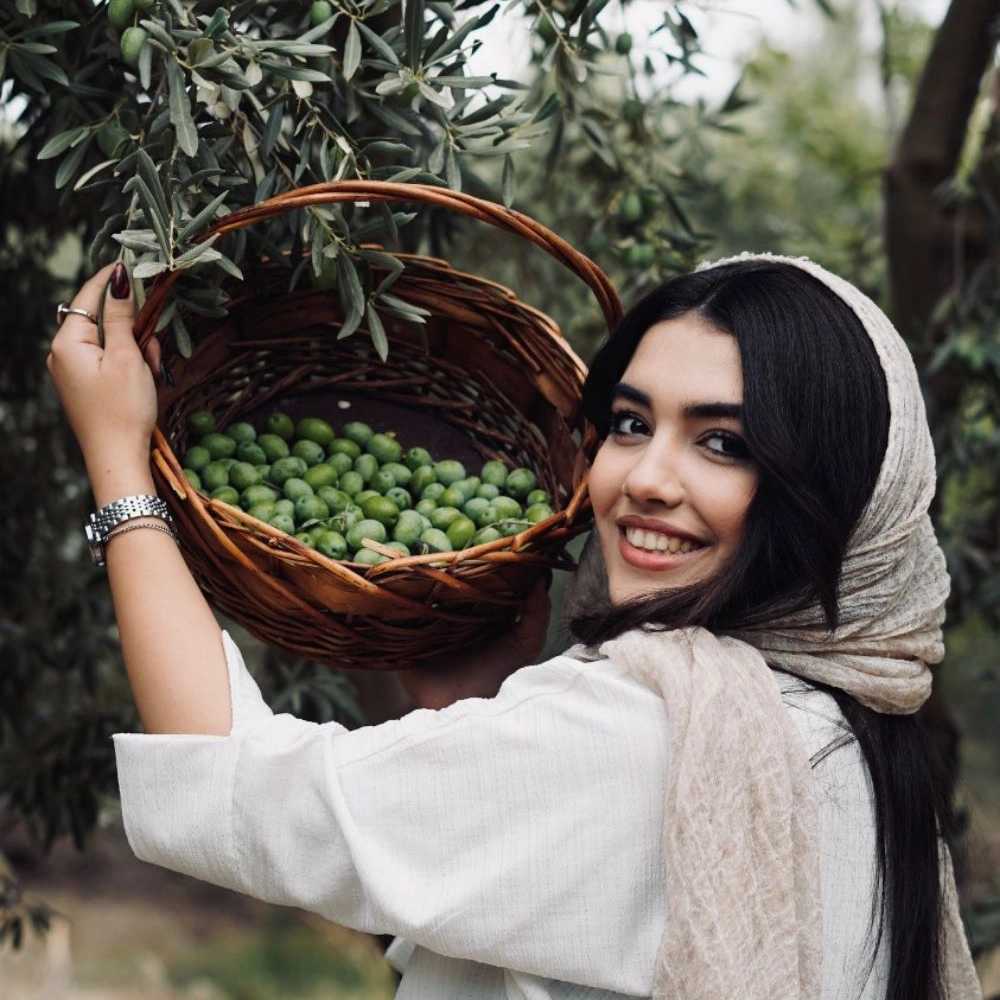 روغن زیتون طارم