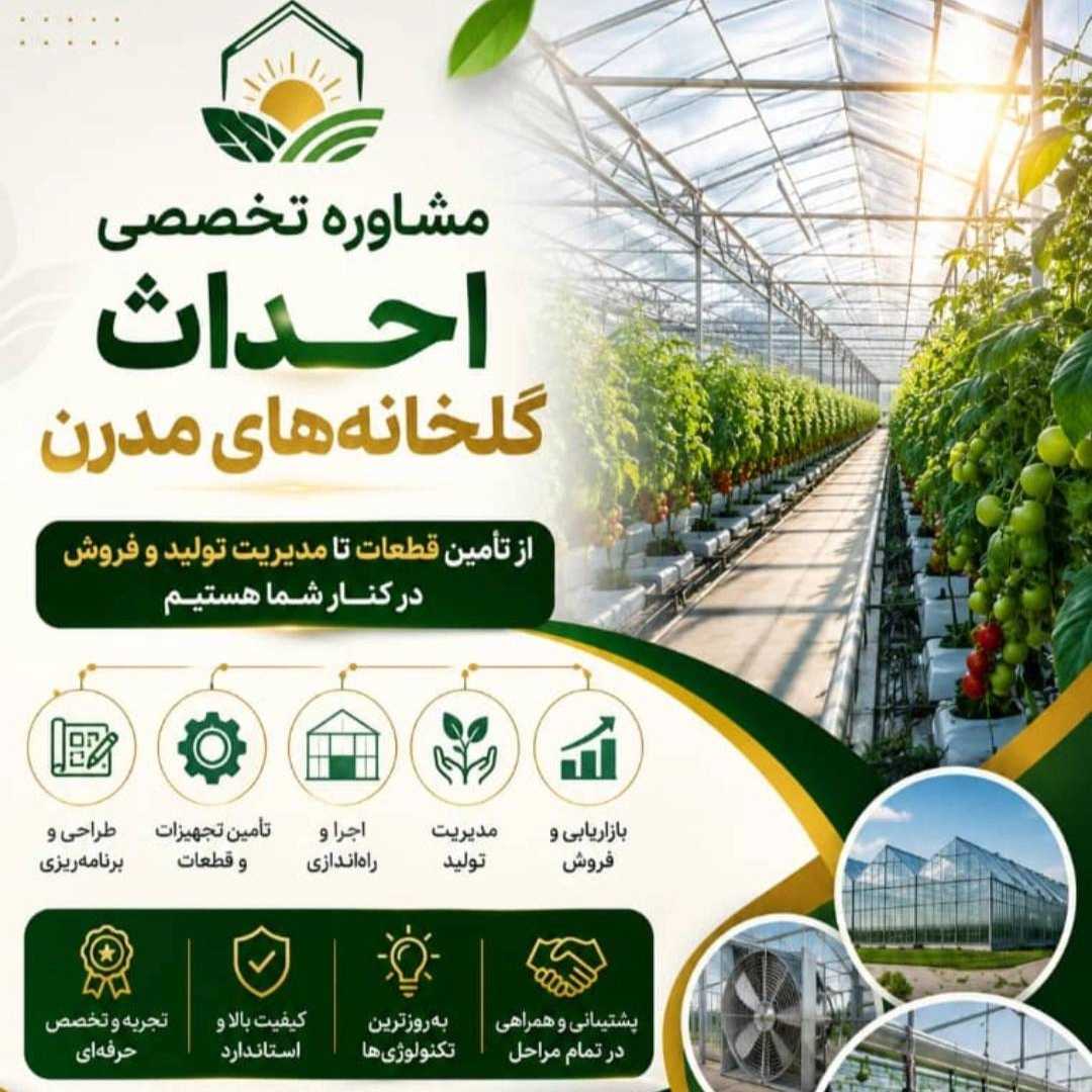بهترین شرکت سورتینگ