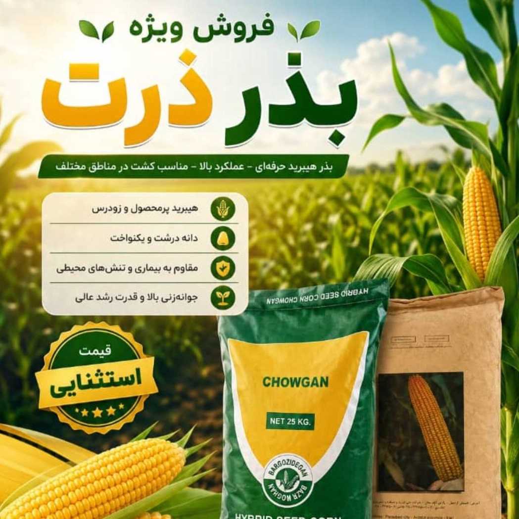 خرید بذر ذرت