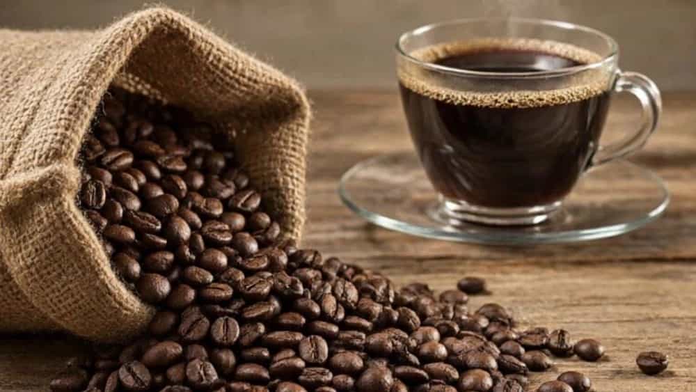 قهوه ۱۰۰٪ عربیکا اتیوپی؛ راهنمای خرید و انتخاب از باوین گروپ