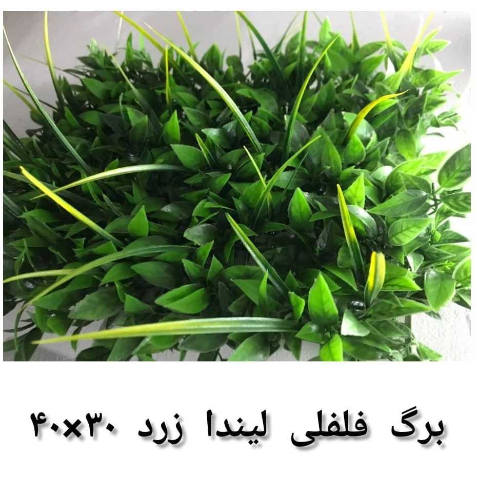 1689769264126.webp