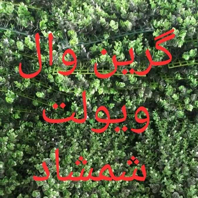 1689769264243.webp