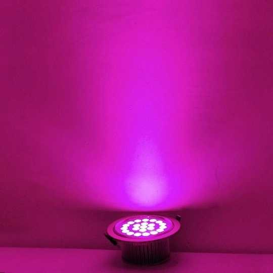 1690370467739.webp