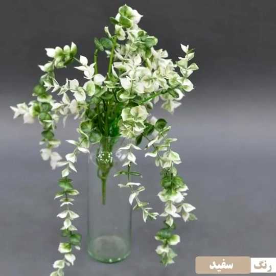 1690707938793.webp