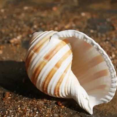 1690796745858.webp