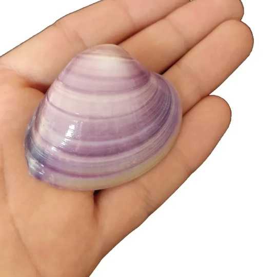 1690873156047.webp