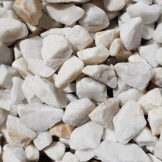 1690954251651.webp