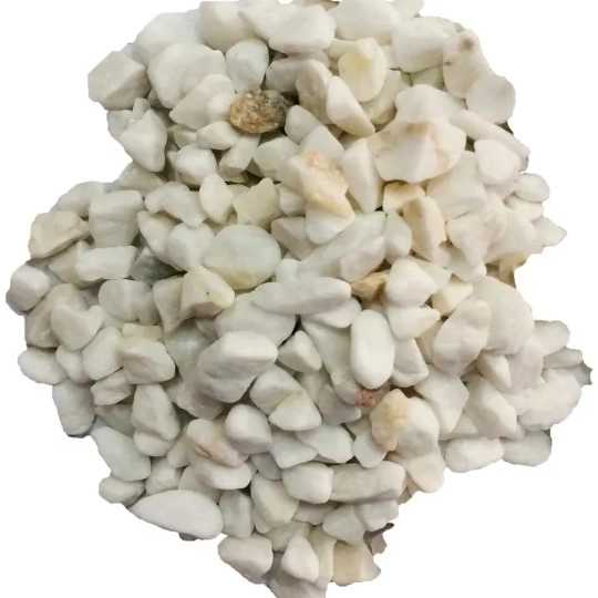 1690959550279.webp