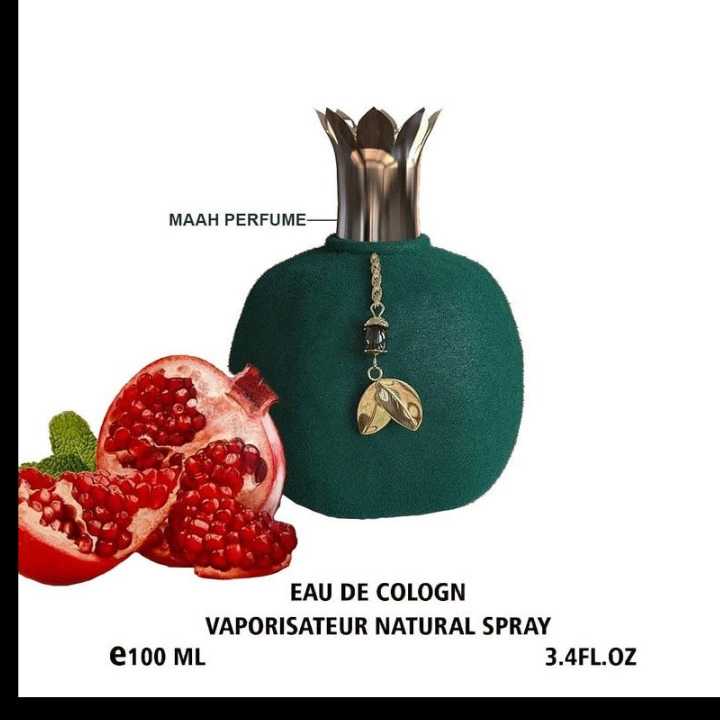 1691396821407.webp