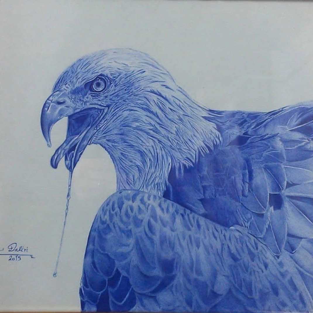 1691473427434.webp