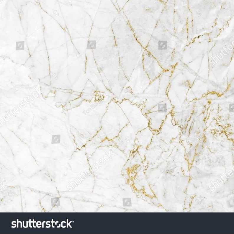 1691825868234.webp