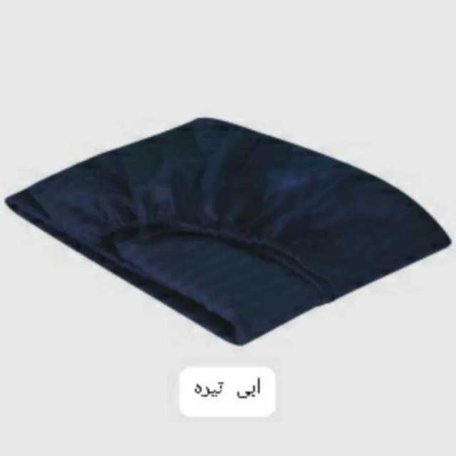 1692423213544.webp