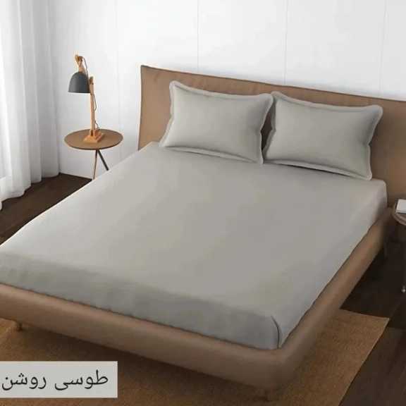 1692440142645.webp
