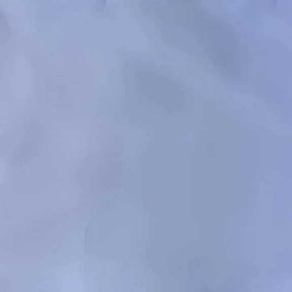 1692776993163.webp