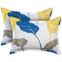 1692785946540.webp
