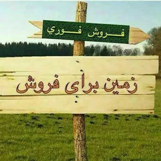 1693655382003.webp
