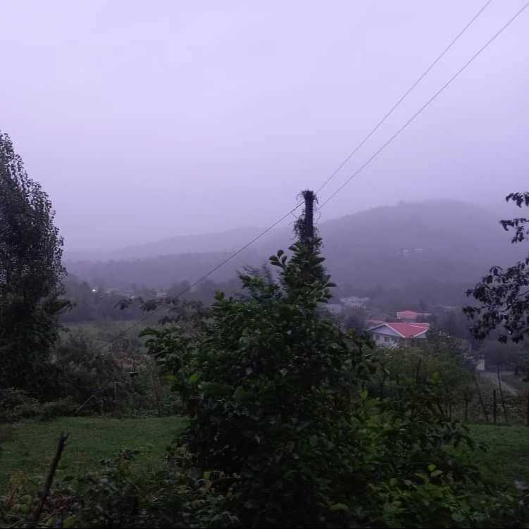 1694928997804.webp