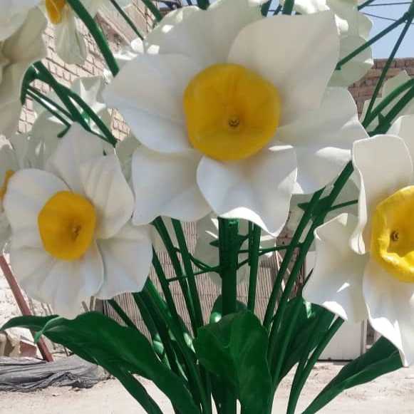 1695468123761.webp