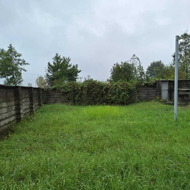 1697096244196.webp