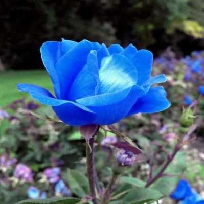 1699077152106.webp