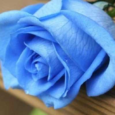 1699077152423.webp