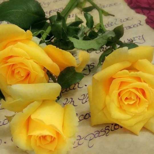 1699077316786.webp