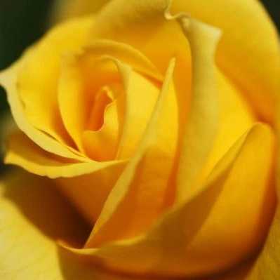 1699077317084.webp
