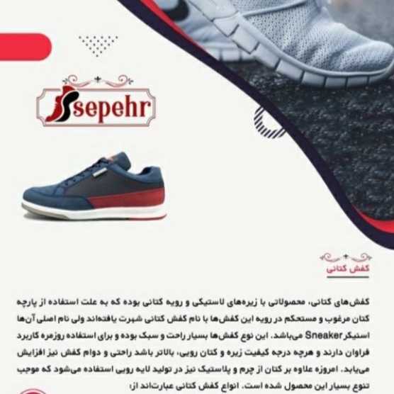 1699264168575.webp