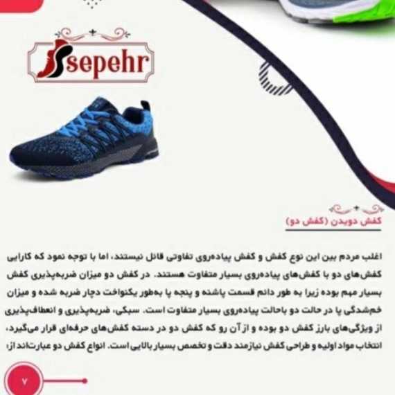 1699264330796.webp