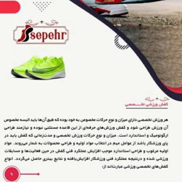 1699264393455.webp