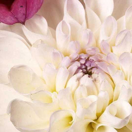 1699682948090.webp