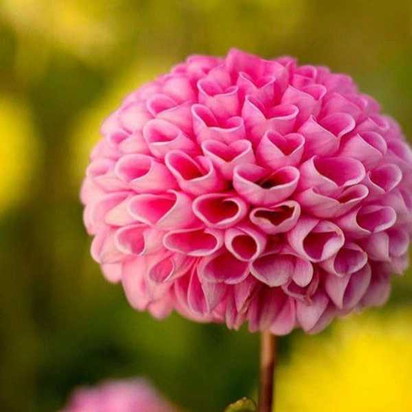 1699682949312.webp