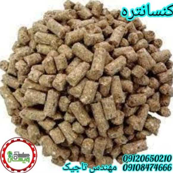 1700026534141.webp