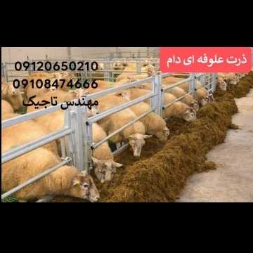 1700026756024.webp