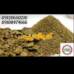 1700285230926.webp