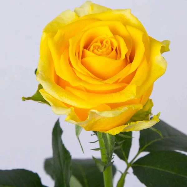 1701510878669.webp