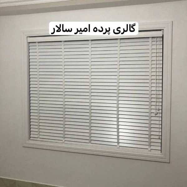 1704174322408.webp