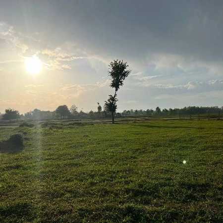 1715669954523.webp