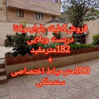 1716726323773.webp