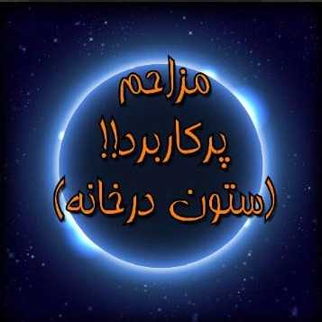1717049483189.webp