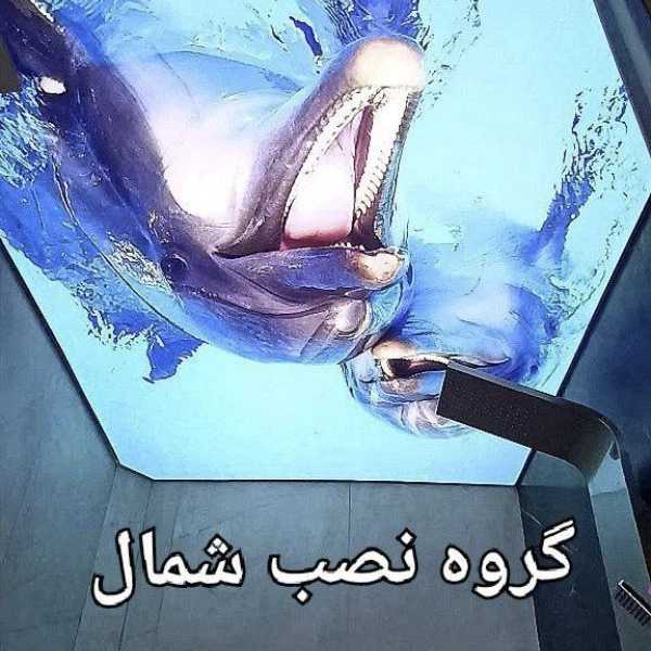 1718437255336.webp