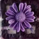 1719348956023.webp